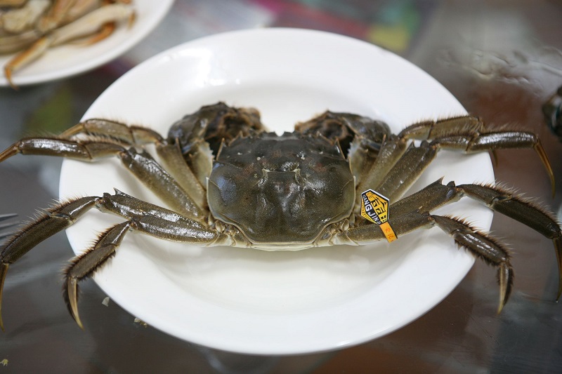 秋风起，蟹儿肥！珠海新东方烹饪老师教你如何选螃蟹